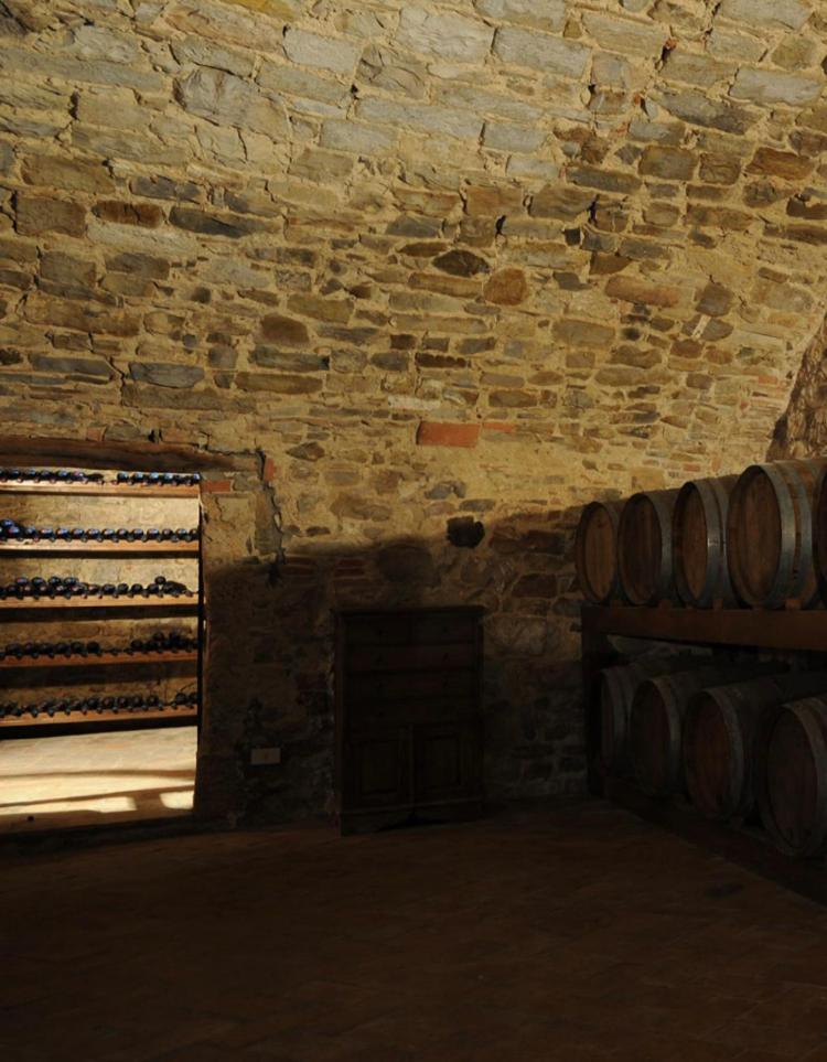 Апартаменти Tenuta Di San Giusto In Salcio Гайоле-ін-К'янті Екстер'єр фото
